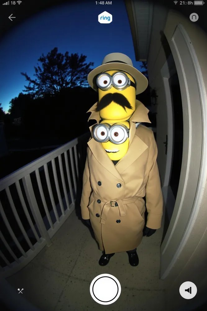 夏天熱銷什么蔬菜