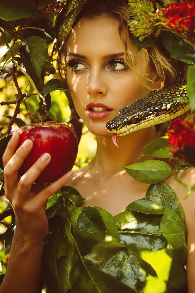 現在種植的蔬菜