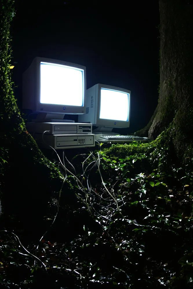 有機蔬菜種植賺錢嗎