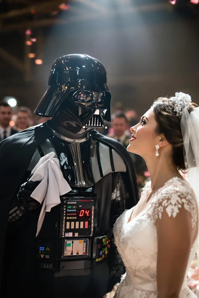 農村蔬菜種植項目